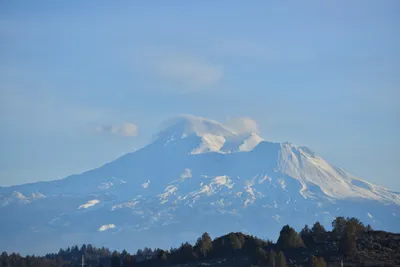 DSC_6006 (Large).JPG